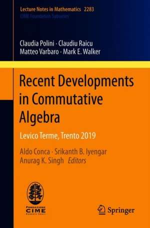 Recent Developments in Commutative Algebra: Levico Terme, Trento 2019 de Claudia Polini