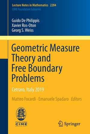 Geometric Measure Theory and Free Boundary Problems: Cetraro, Italy 2019 de Guido De Philippis