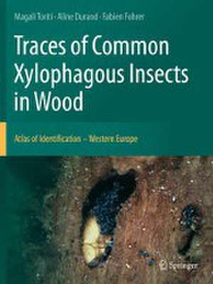 Traces of Common Xylophagous Insects in Wood : Atlas of Identification - Western Europe de Magali Toriti