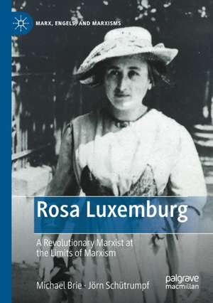 Rosa Luxemburg: A Revolutionary Marxist at the Limits of Marxism de Michael Brie