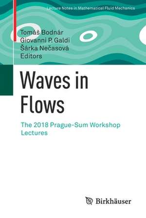 Waves in Flows: The 2018 Prague-Sum Workshop Lectures de Tomáš Bodnár