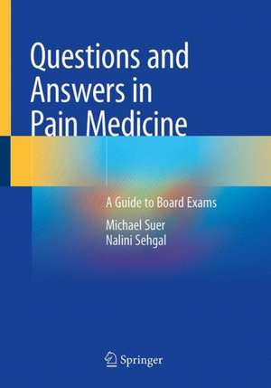 Questions and Answers in Pain Medicine: A Guide to Board Exams de Michael Suer