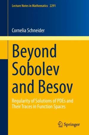 Beyond Sobolev and Besov: Regularity of Solutions of PDEs and Their Traces in Function Spaces de Cornelia Schneider