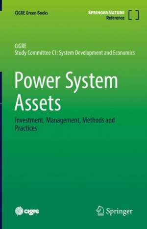 Power System Assets: Investment, Management, Methods and Practices de Graeme Ancell