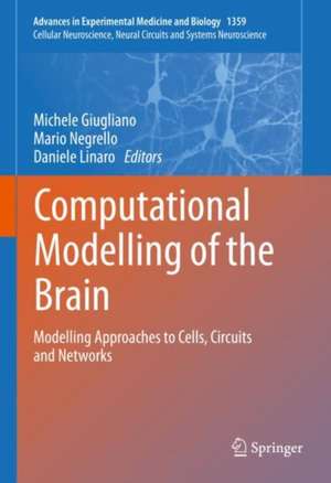 Computational Modelling of the Brain: Modelling Approaches to Cells, Circuits and Networks de Michele Giugliano