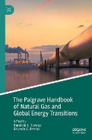 The Palgrave Handbook of Natural Gas and Global Energy Transitions de Damilola S. Olawuyi