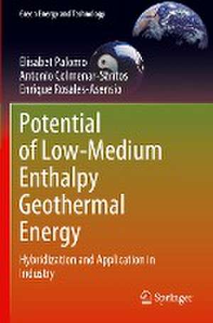 Potential of Low-Medium Enthalpy Geothermal Energy: Hybridization and Application in Industry de Elisabet Palomo