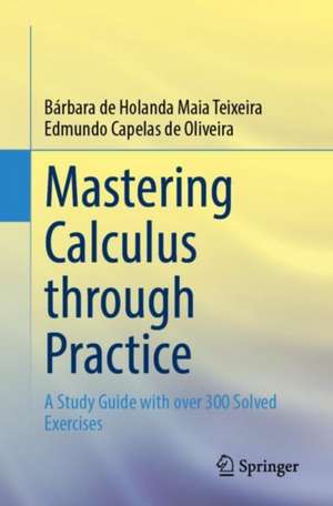 Mastering Calculus through Practice: A Study Guide with over 300 Solved Exercises de Bárbara de Holanda Maia Teixeira