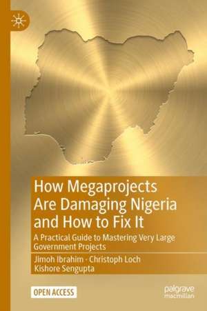 How Megaprojects Are Damaging Nigeria and How to Fix It: A Practical Guide to Mastering Very Large Government Projects de Jimoh Ibrahim