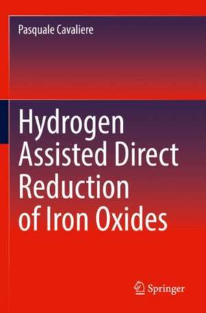 Hydrogen Assisted Direct Reduction of Iron Oxides de Pasquale Cavaliere