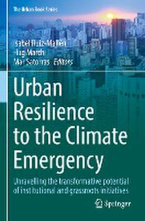 Urban Resilience to the Climate Emergency: Unravelling the transformative potential of institutional and grassroots initiatives de Isabel Ruiz-Mallén