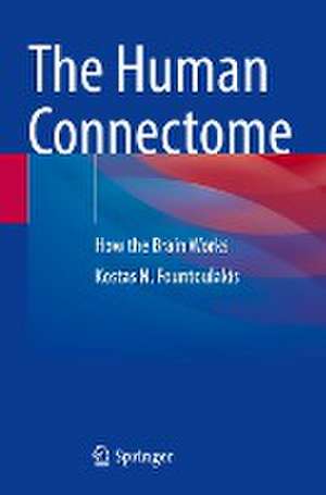 The Human Connectome: How the Brain Works de Kostas N. Fountoulakis