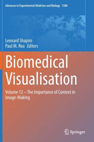 Biomedical Visualisation: Volume 12 ‒ The Importance of Context in Image-Making de Leonard Shapiro