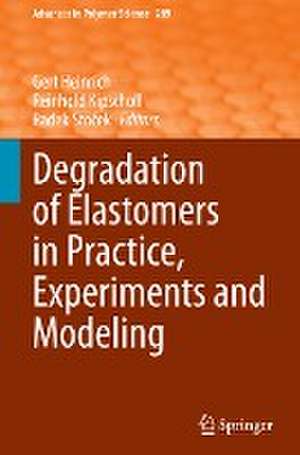 Degradation of Elastomers in Practice, Experiments and Modeling de Gert Heinrich