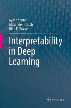 Interpretability in Deep Learning de Ayush Somani