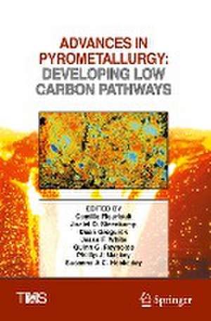 Advances in Pyrometallurgy: Developing Low Carbon Pathways de Camille Fleuriault