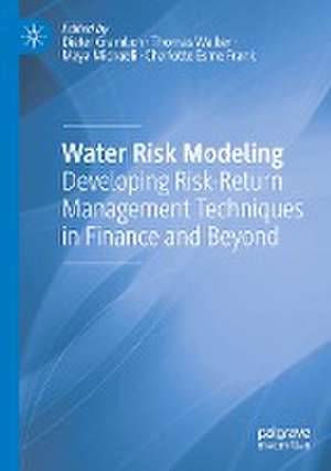 Water Risk Modeling: Developing Risk-Return Management Techniques in Finance and Beyond de Dieter Gramlich