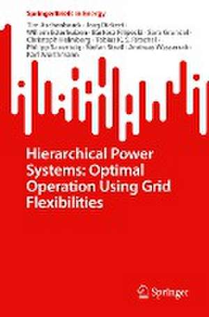 Hierarchical Power Systems: Optimal Operation Using Grid Flexibilities de Tim Aschenbruck