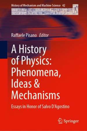 A History of Physics: Phenomena, Ideas and Mechanisms: Essays in Honor of Salvo D'Agostino de Raffaele Pisano