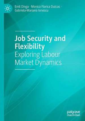 Job Security and Flexibility: Exploring Labour Market Dynamics de Emil Dinga