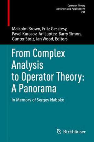 From Complex Analysis to Operator Theory: A Panorama: In Memory of Sergey Naboko de Malcolm Brown