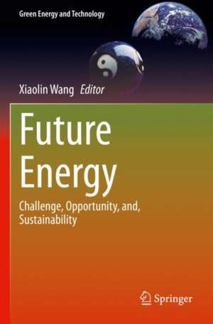 Future Energy de Xiaolin Wang