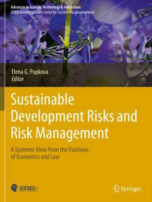 Sustainable Development Risks and Risk Management de Elena G. Popkova