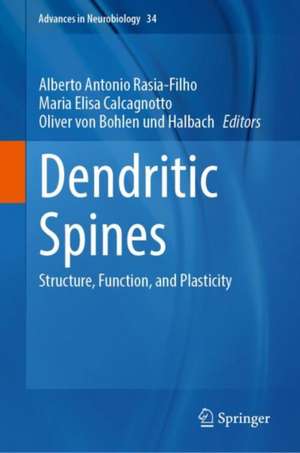 Dendritic Spines: Structure, Function, and Plasticity de Alberto A. Rasia-Filho