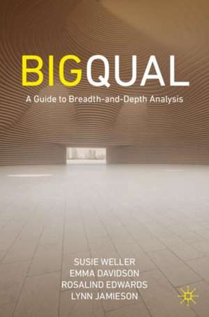 Big Qual: A Guide to Breadth-and-Depth Analysis de Susie Weller