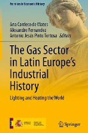 The Gas Sector in Latin Europe’s Industrial History: Lighting and Heating the World de Ana Cardoso de Matos