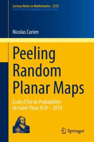 Peeling Random Planar Maps: École d’Été de Probabilités de Saint-Flour XLIX – 2019 de Nicolas Curien