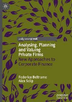 Analysing, Planning and Valuing Private Firms: New Approaches to Corporate Finance de Federico Beltrame