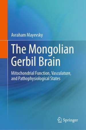 The Mongolian Gerbil Brain: Mitochondrial Function, Vasculature, and Pathophysiological States de Avraham Mayevsky