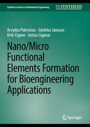 Nano/Micro Functional Elements Formation for Bioengineering Applications de Arvydas Palevicius
