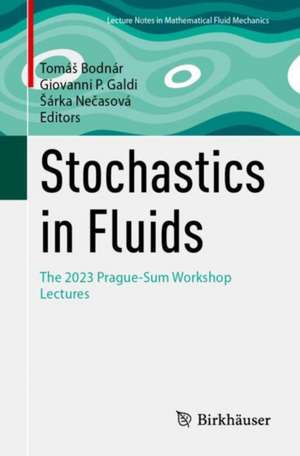 Stochastics in Fluids de Tomá¿ Bodnár