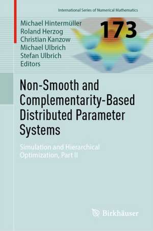 Non-Smooth and Complementarity-Based Distributed Parameter Systems de Christian Kanzow