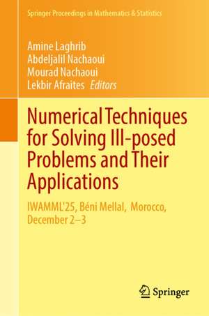 Numerical Techniques for Solving Ill-posed Problems and Their Applications de Abdeljalil Nachaoui