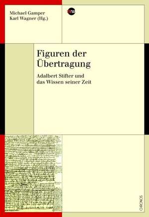 Figuren der Übertragung de Michael Gamper