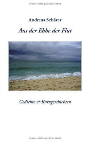 Aus der Ebbe der Flut de Andreas Schärer