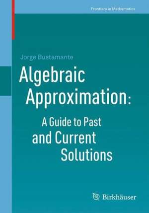 Algebraic Approximation: A Guide to Past and Current Solutions de Jorge Bustamante