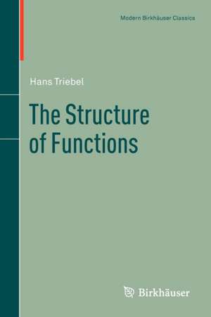 The Structure of Functions de Hans Triebel