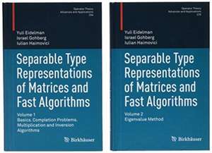 Separable Type Representations of Matrices and Fast Algorithms de Yuli Eidelman