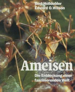 Ameisen: Die Entdeckung einer faszinierenden Welt de Bert Hölldobler