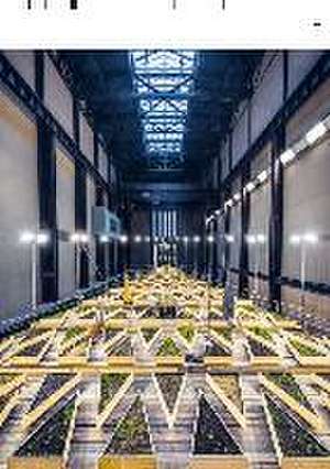 Adaptive Reuse in Architecture de Liliane Wong