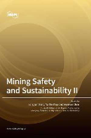 Mining Safety and Sustainability II