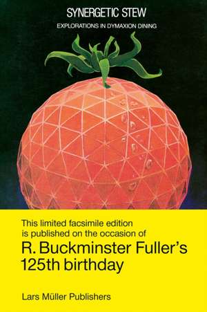 Synergetic Stew de R. Buckminster Fuller