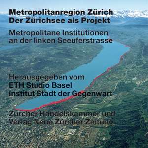 Metropolitanregion Zürich - Der Zürichsee als Projekt