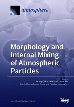 Morphology and Internal Mixing of Atmospheric Particles