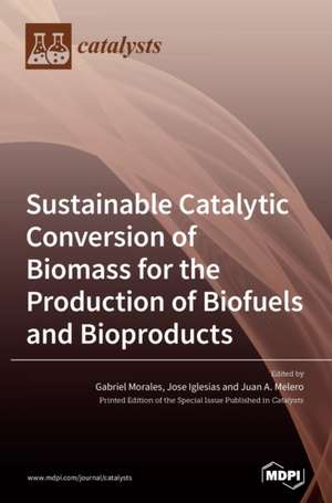 Sustainable Catalytic Conversion of Biomass for the Production of Biofuels and Bioproducts de Gabriel Morales Morales