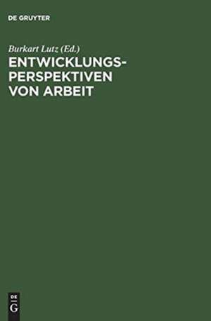 Entwicklungsperspektiven von Arbeit: Ergebnisse aus dem Sonderforschungsbereich 333 der Universität München de Burkart Lutz